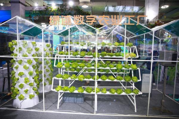 新主体、新技术、新产品 从今年农博会看&ldquo;浙&rdquo;有新能力