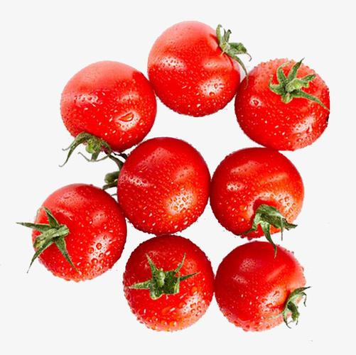 绿色新鲜蔬菜【高清产品实物png素材】