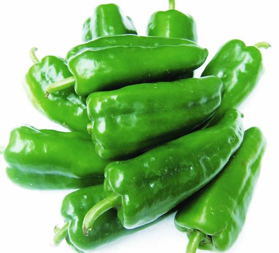 有机蔬菜_新鲜蔬菜_所有产品_和乐康_上海_有机食品